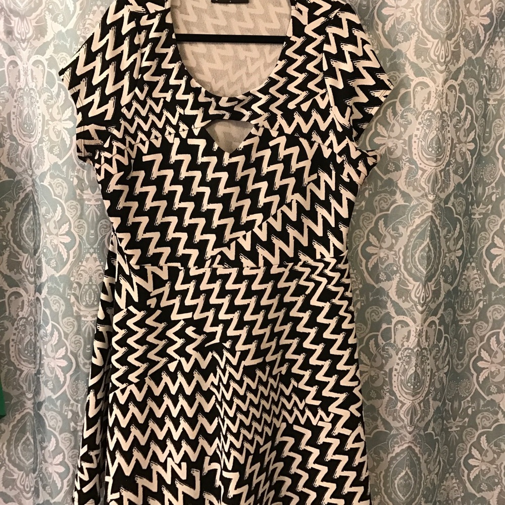 Plus Size Skater Dress